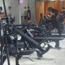 뉴-핏 휘트니스 | 정자역 헬스장 뉴핏휘트니스 정자점 후기