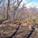 토지초교 이미지