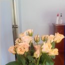 혜승농장 이미지