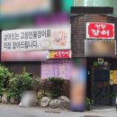풍천손가네민물장어 네이버블로그