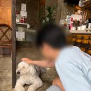 천안 독립기념관 캠핑장 대한존 캠핑여행 주변 마트 정보까지