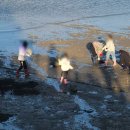 비토섬마린블루펜션 이미지