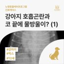 풍동동물병원 이미지