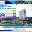 센텀마크호텔양양 이미지