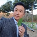 평창해피몰