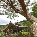 옥성1리(소재지)마을버스정류소 | 풍성한 역사에 수려한 자연... 영남 유생의 과거급제길을 걸었다