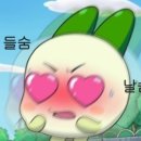 딥 모먼트