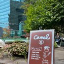 카멜무역 이미지