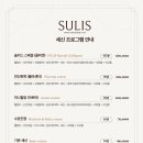술리스 이미지