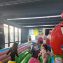 화성남양 MTA태권도장 | 주말에도 즐거운 행사/에어바운서/과자파티/MTA태권도 화성 남양점