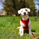 D&C동물병원 이미지