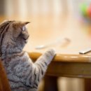 와이비 메디컬 이미지