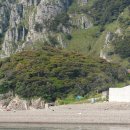 동백 태양광발전소 이미지