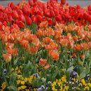 재미로 풀어보는 사주명리학 이미지