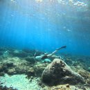 뉴프라임약국 | 발리 5(누사페니다/사누르)