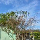 금오름농장 이미지