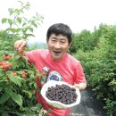 하금농장 이미지