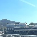 쑥고개24시 참숯가마 | 울산 찜질방 24시 울주 태화강참숯가마 가격 후기 / 실내데이트 코스