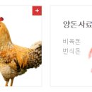 현대사료주식회사
