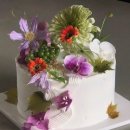 그로우딥(Grow deep) | [춘천 케이크] 어버이날 떡케이크 앙금케이크 주문 추천, 그로우딥