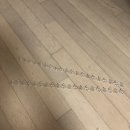 엄팩토리 | 엄팩토리 버드스파이크 실외기 비둘기 퇴치하기