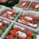 태현농장 | [당진 과일가게] 12월 내돈내산 달콤한 집 솔직 후기ㅣ딸기가 8,900원?