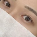 데일리 207 이미지