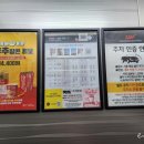 최신영화 웅남이 | 최신개봉영화 웅남이 스포없는 후기 김포 풍무cgv