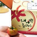 돌마리상회 제철과일 맛있는 대저 짭짤이 토마토 완숙