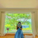 스테이돌레