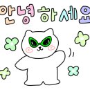 박스더영월 이미지