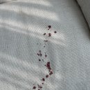 해모로 세탁 이미지