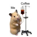 새로운 함쌤 생활영어 | 【일상】 서툴고 해맑고 촌스럽다.