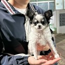 못난이꽈배기 금곡점 | 경주 캠핑장 추천 ♥ 문복산캠핑장 B사이트 2박 3일 (먹부림•편의시설•주변마트•맛집)