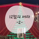 GR(대구광역시 달성군)-[하빈로]-하-10 | 24년 12월 두번째 : 분량 70%는 음식임