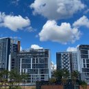 K행정사사무소 이미지