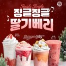 컴포즈커피파주운정초롱꽃