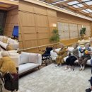 스테이-곁 이미지