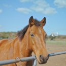 종은목장 이미지