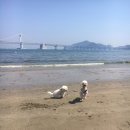 오파프부산 이미지