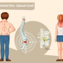 참한의원 이미지