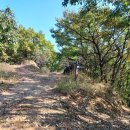 안용주골 이미지