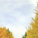 동산홈마트 이미지