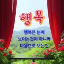 양파(洋파) 이미지