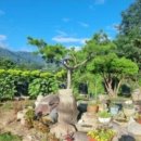 지리산오도재관광농원 이미지