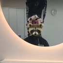 흥부네 뽑기방 | 현실에서 로그아웃