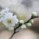 소답동220 이미지