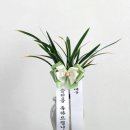 어진동_지방자치회관 이미지