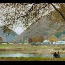E.F 모텔 이미지