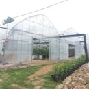 인수농장 이미지